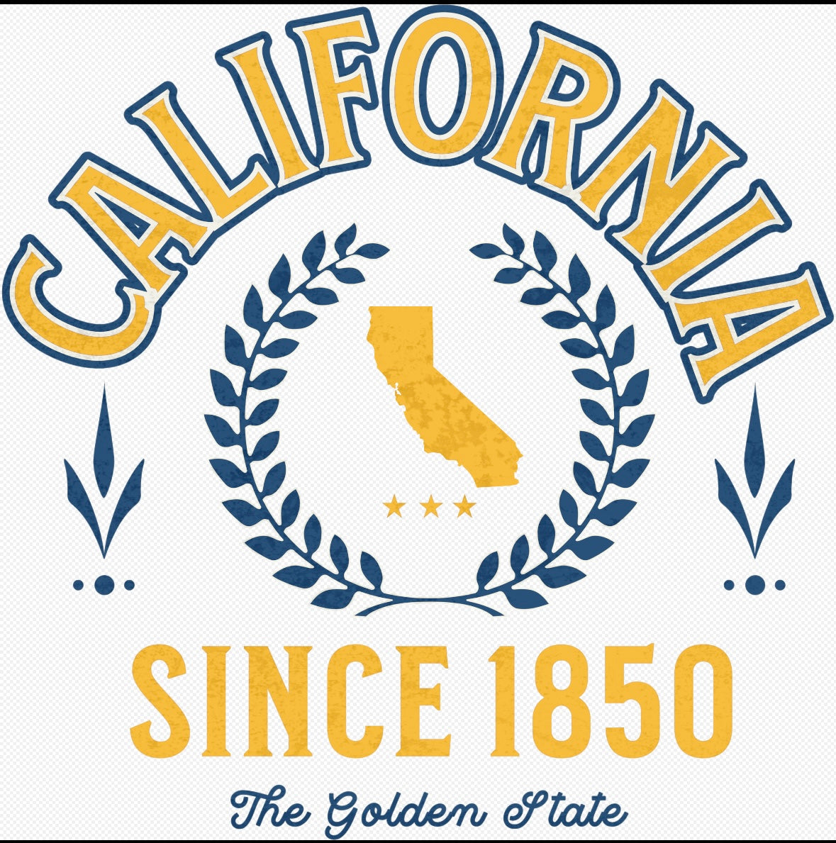 VARSITY CALIFORNIA STATE TEES-