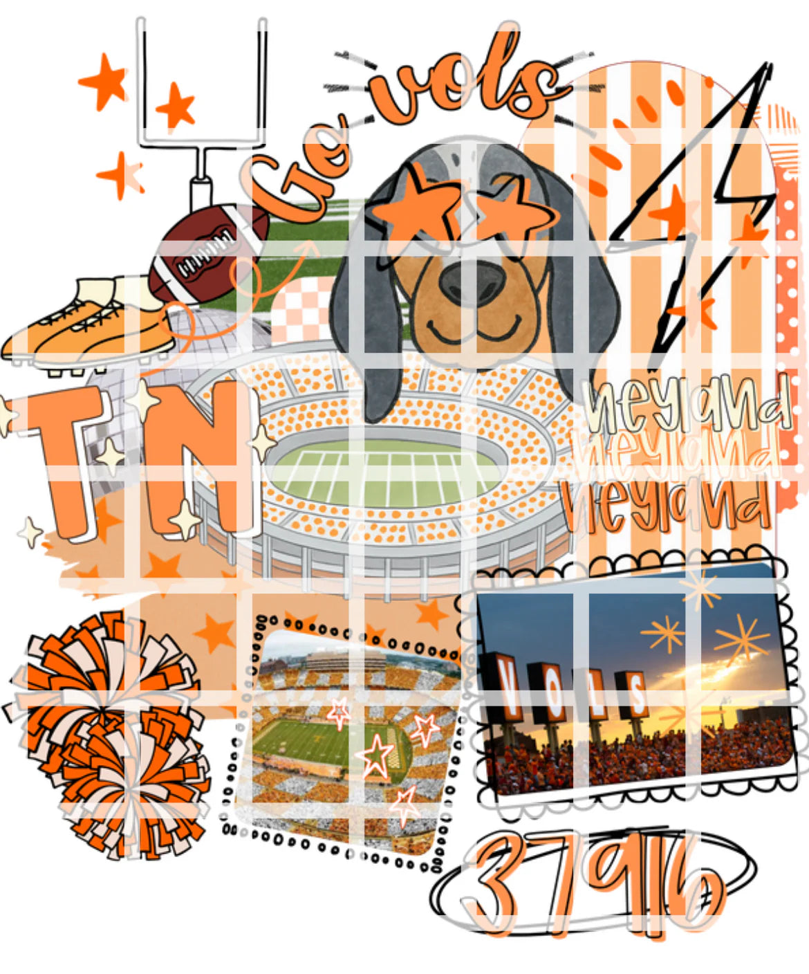 TN VOLS