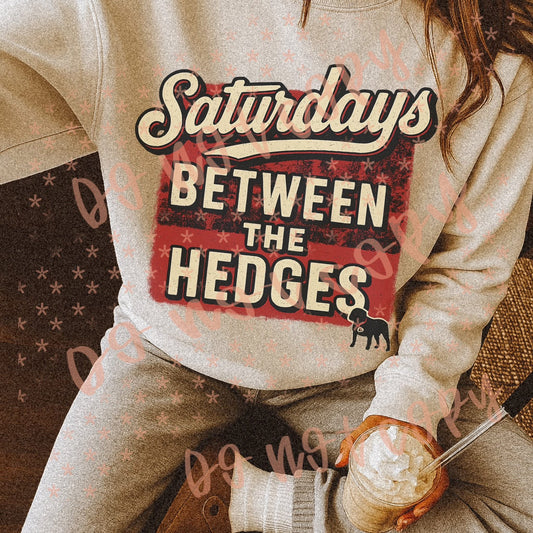 ULTRA VINTAGE COLLEGE -T-Shirts/SWEATSHIRT -  Between the Hedges