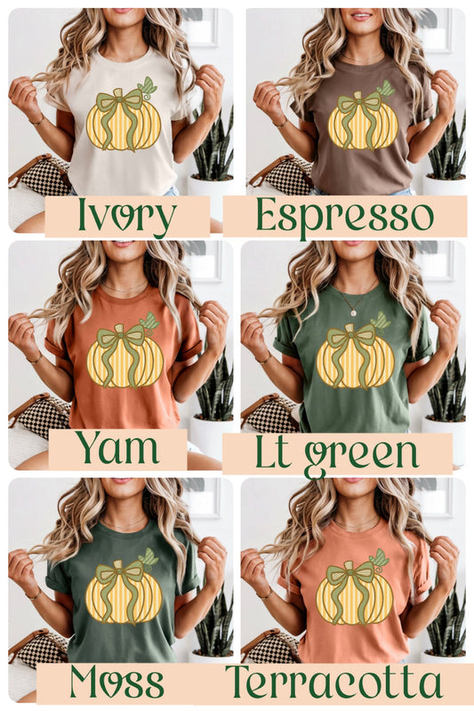 SEER SUCKER FALL PUMPKIN T-SHIRT