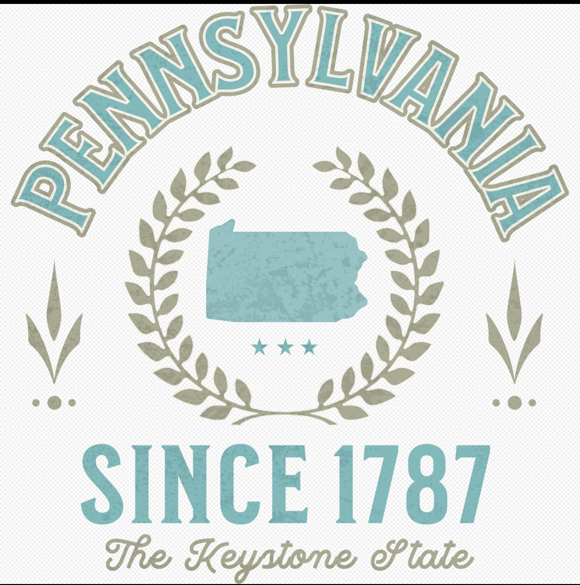 VARSITY  PENNSYLVANIA STATE TEES-
