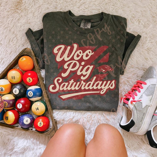 ULTRA VINTAGE COLLEGE -T-Shirts/SWEATSHIRT -  WOO PIG