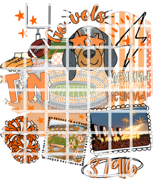 TN VOLS