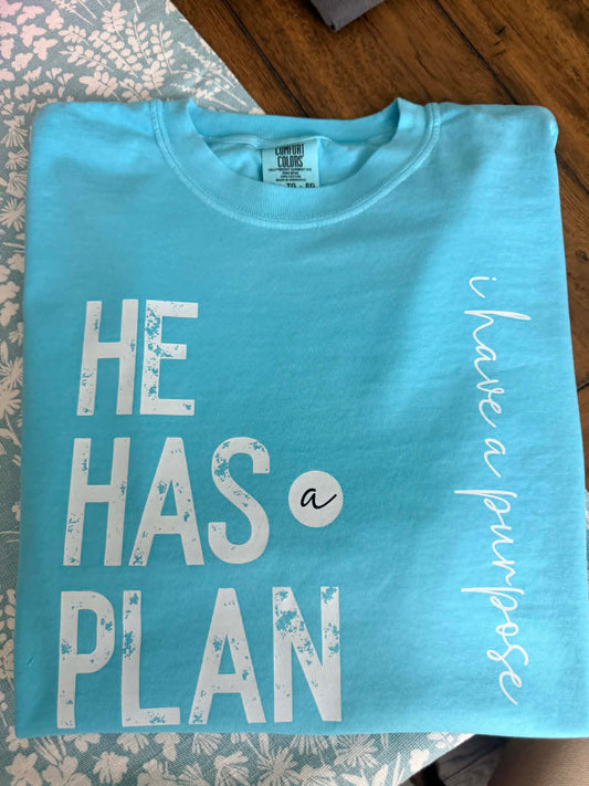 HE HAS A PLAN- I HAVE A PURPOSE TEES-  COMFORT COLOR